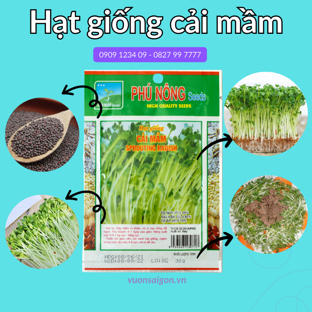 Hạt giống cải mầm Phú Nông 1