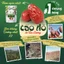 Táo đỏ Hotan hữu cơ - Táo đỏ Tân Cương - Organic Dried Hotan Jujube