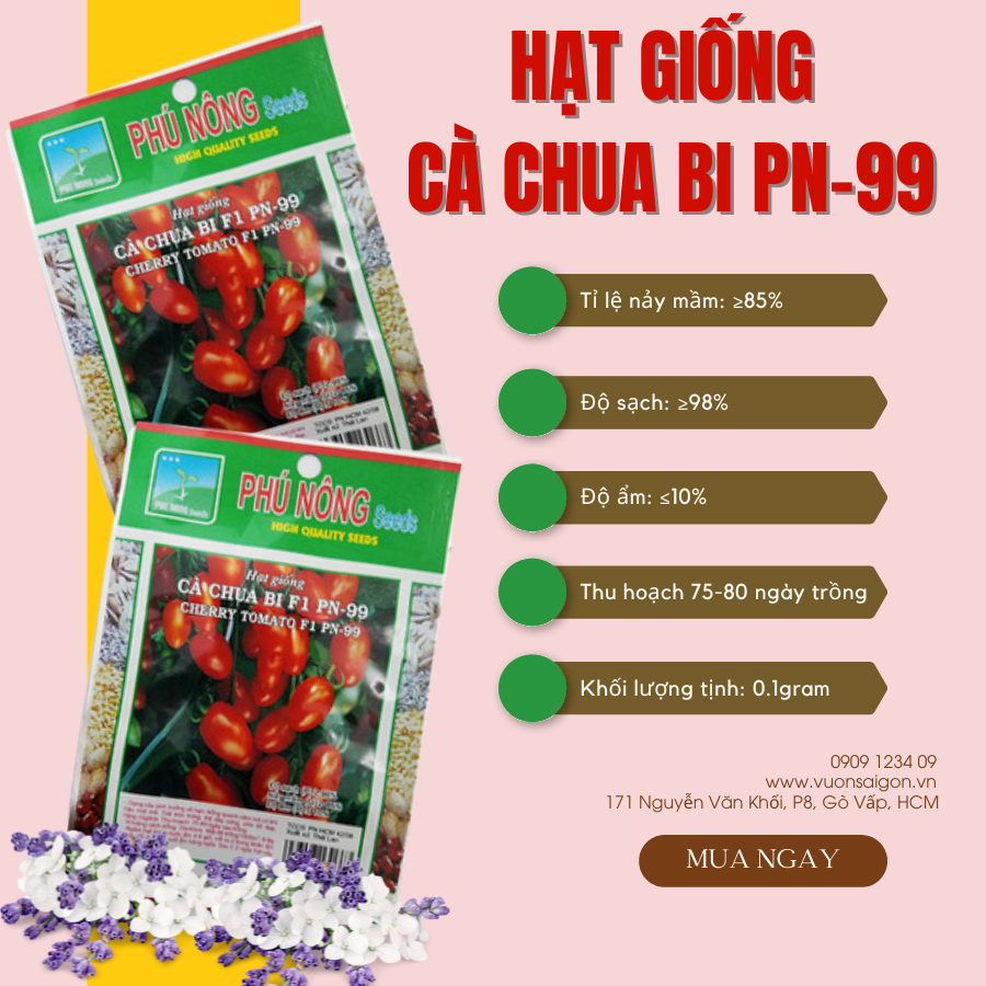 Hạt giống Cà Chua Bi F1 PN-99 2