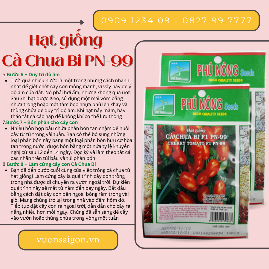 Hạt giống Cà Chua Bi F1 PN-99 4