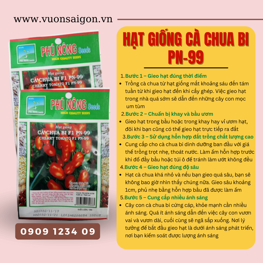 Hạt giống Cà Chua Bi F1 PN-99 3