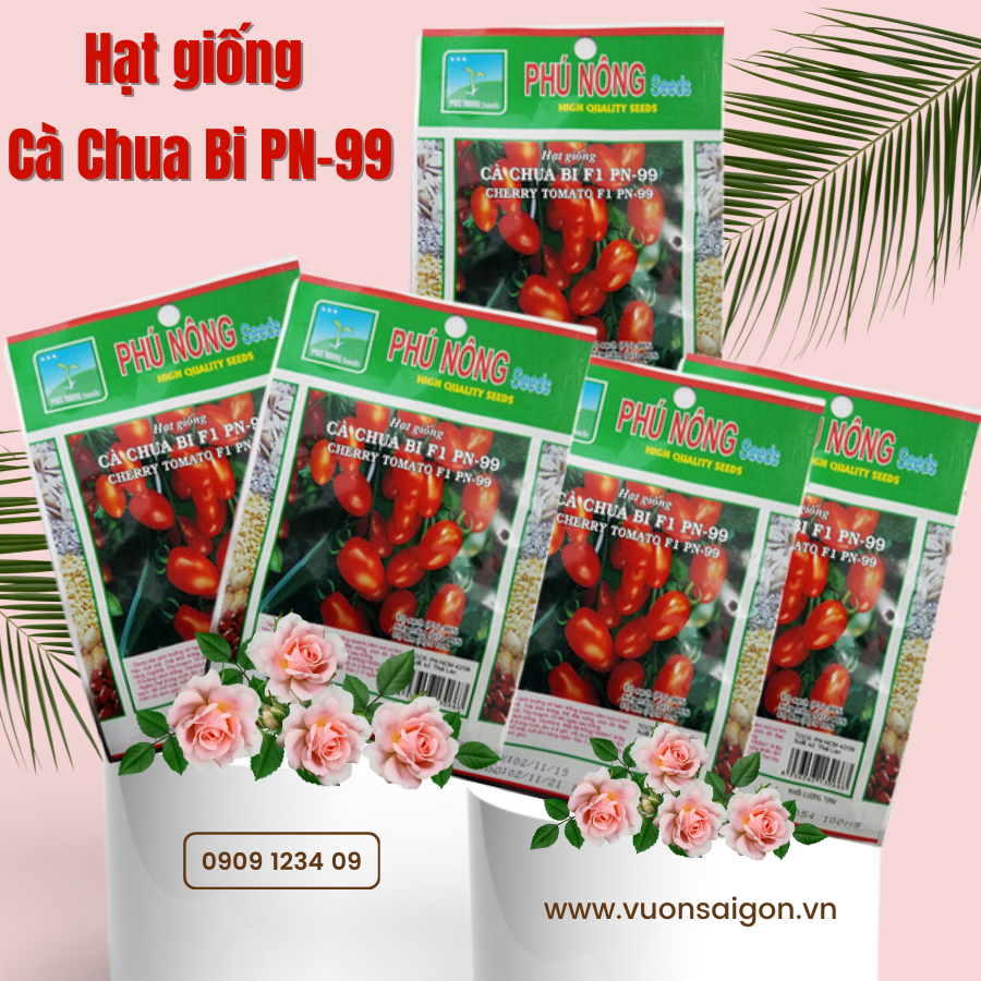 Hạt giống Cà Chua Bi F1 PN-99 5