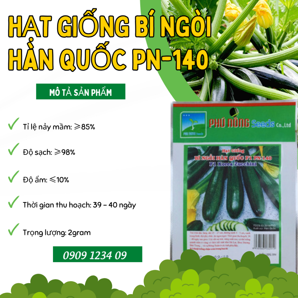 Hạt giống bí ngòi Hàn Quốc F1 PN-140 2