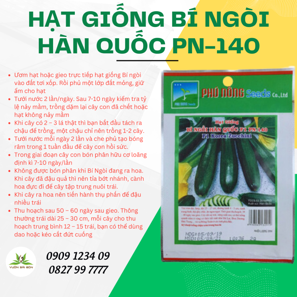 Hạt giống bí ngòi Hàn Quốc F1 PN-140 3