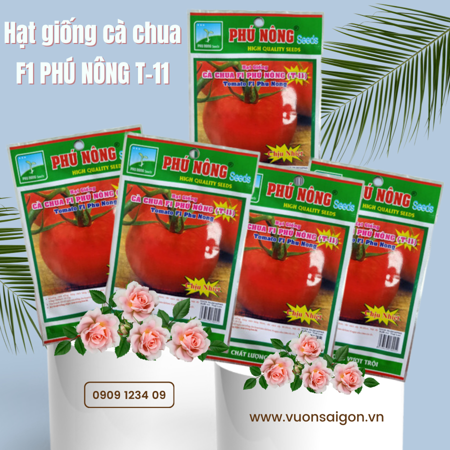 Hạt giống cà chua F1 PHÚ NÔNG T-11 5
