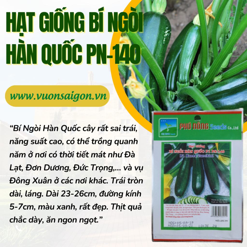 Hạt giống bí ngòi Hàn Quốc F1 PN-140 1