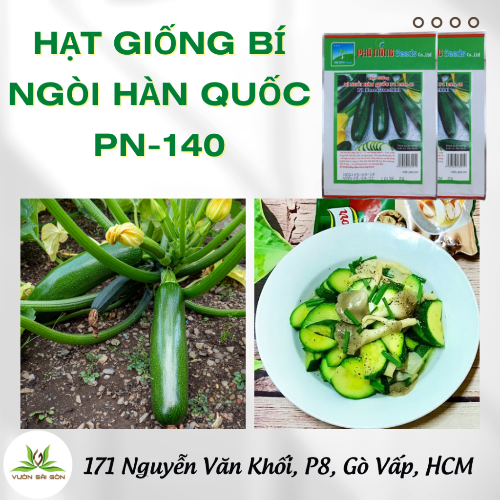 Hạt giống bí ngòi Hàn Quốc F1 PN-140 4