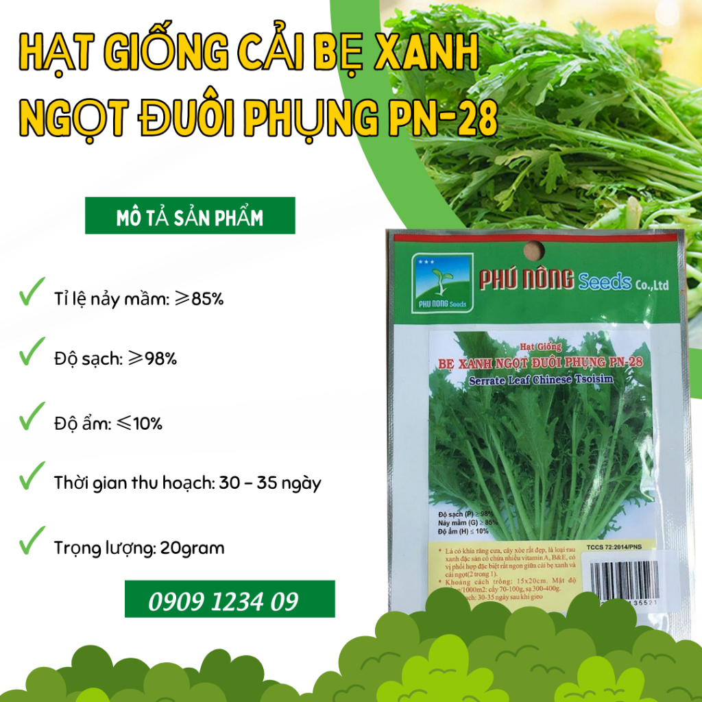 Hạt giống cải bẹ xanh ngọt đuôi phụng PN-28 2