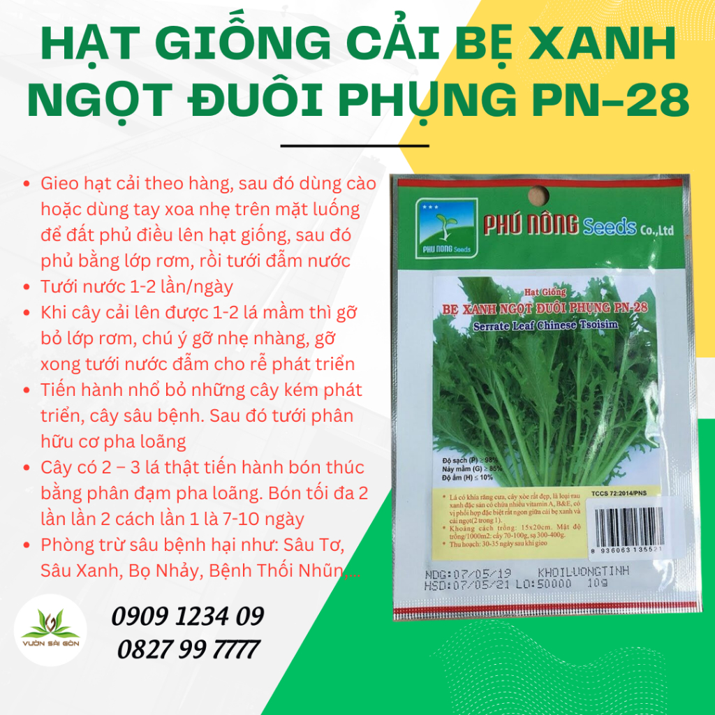 Hạt giống cải bẹ xanh ngọt đuôi phụng PN-28 3