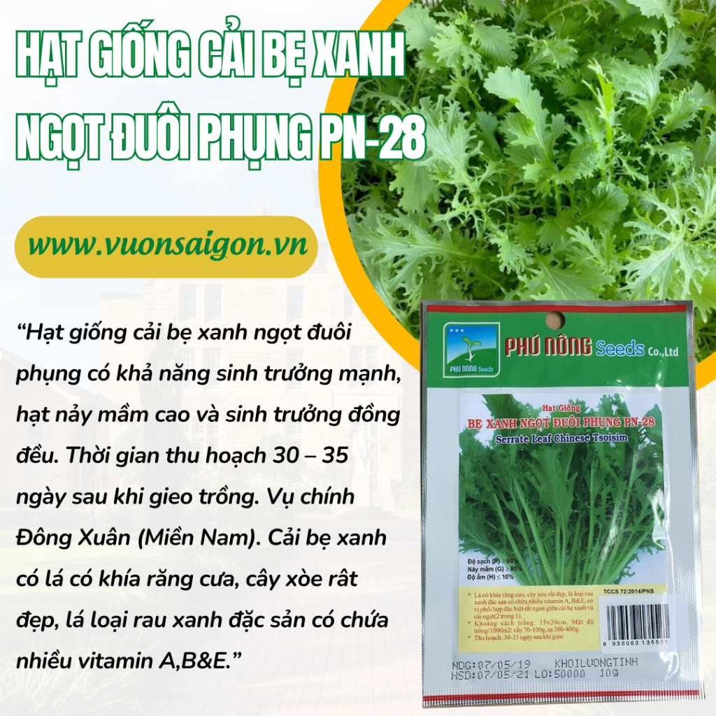 Hạt giống cải bẹ xanh ngọt đuôi phụng PN-28 1