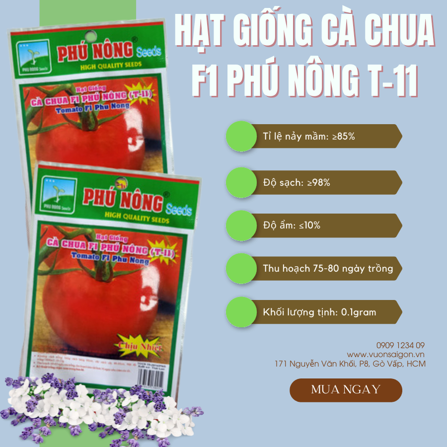 Hạt giống cà chua F1 PHÚ NÔNG T-11 2