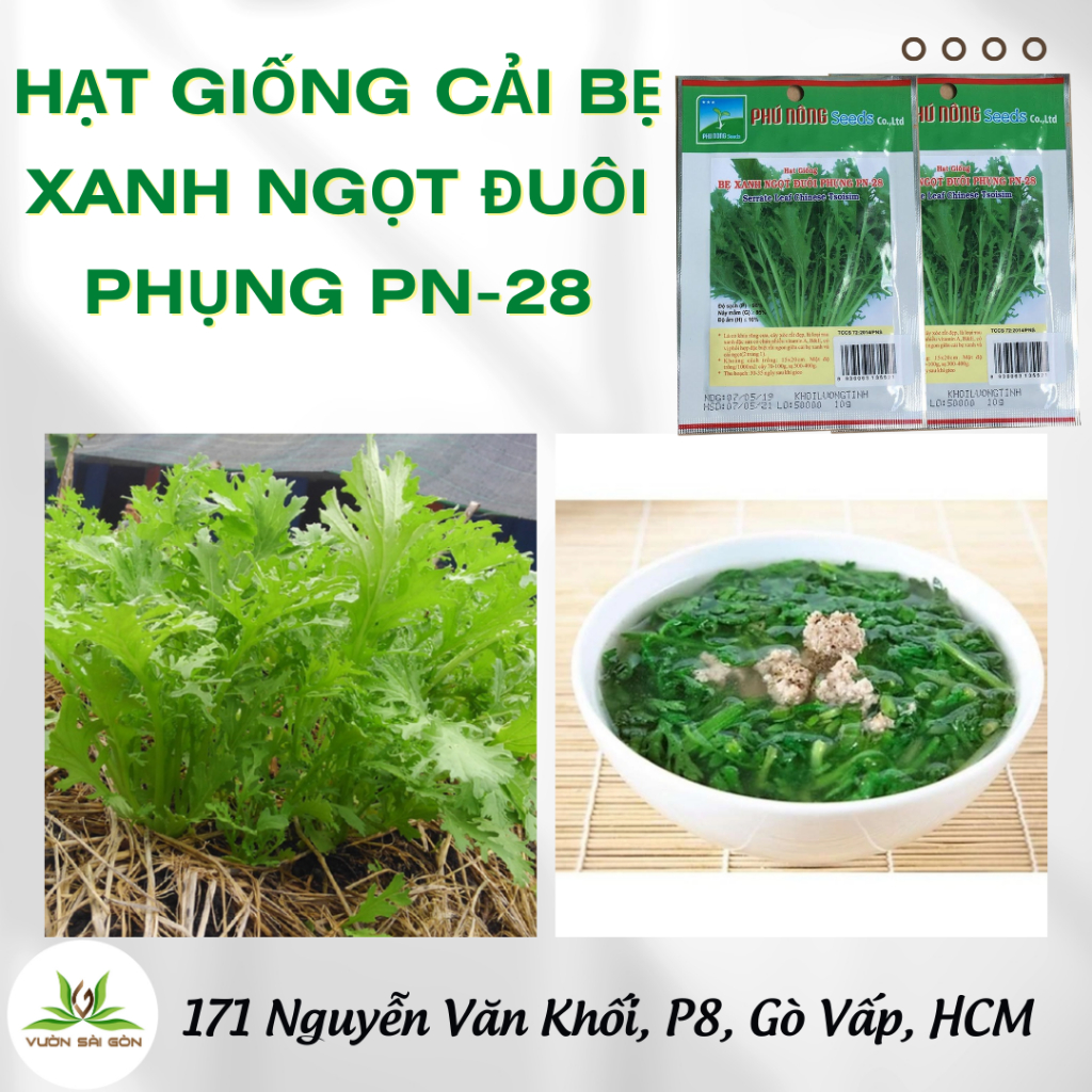 Hạt giống cải bẹ xanh ngọt đuôi phụng PN-28 4