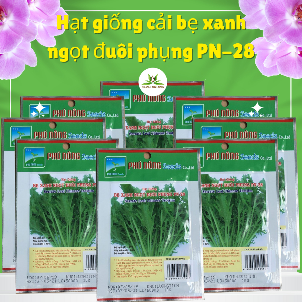 Hạt giống cải bẹ xanh ngọt đuôi phụng PN-28 5