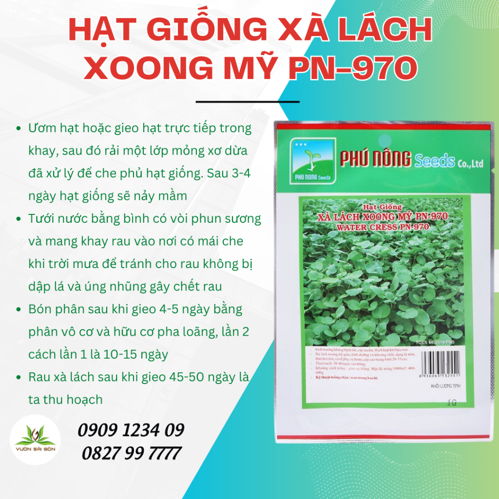 Hạt giống xà lách xoong Mỹ Phú Nông 3