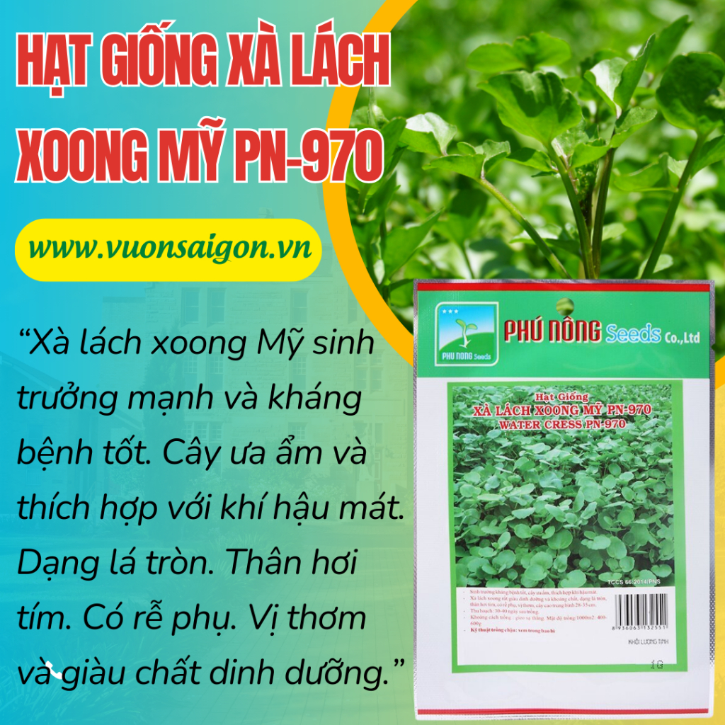 Hạt giống xà lách xoong Mỹ Phú Nông 1