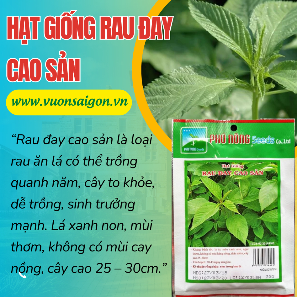 HẠT GIỐNG RAU ĐAY TRẮNG ( Cao sản) | Vườn Sài Gòn