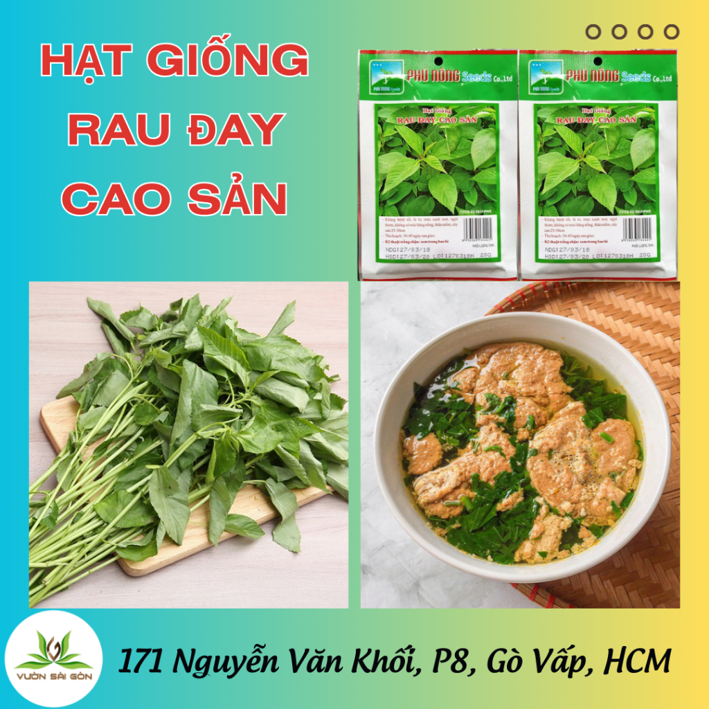 HẠT GIỐNG RAU ĐAY TRẮNG ( Cao sản) | Vườn Sài Gòn