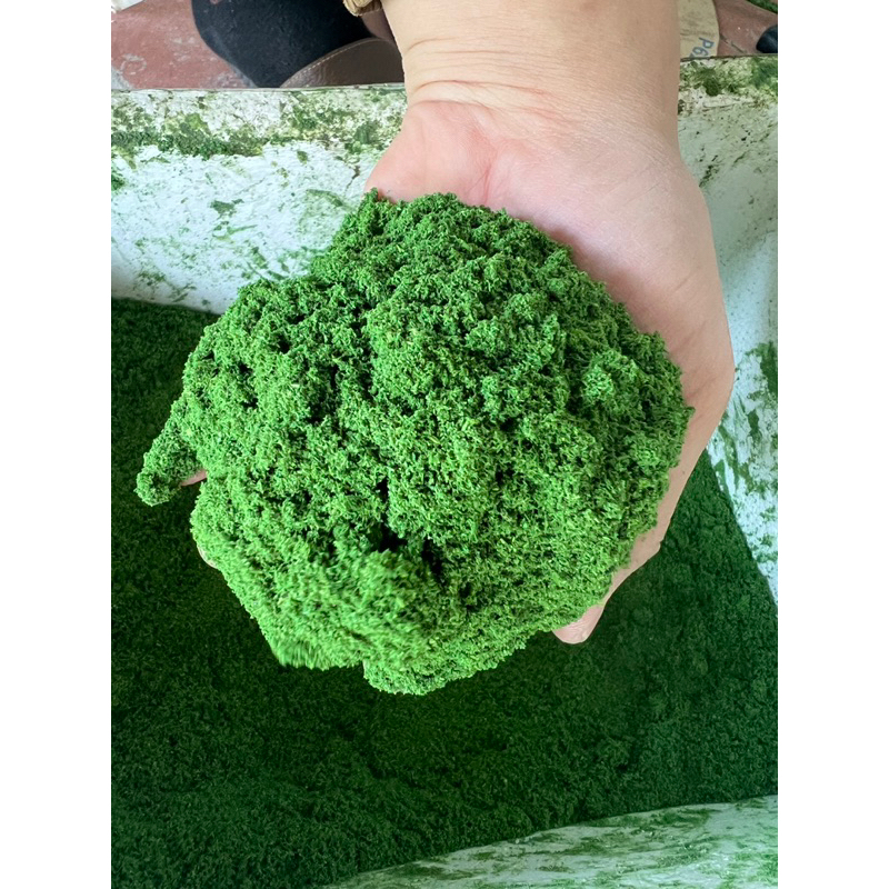 1kg Rêu Dạng bột Phủ Gốc Cây, Trang Trí Làm Cây Bonsai Cây Cảnh ...