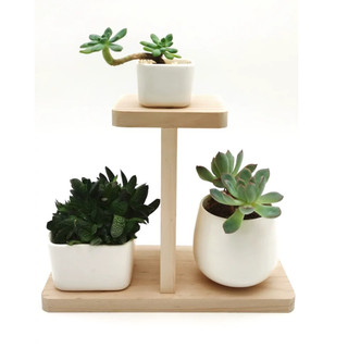 Kệ Gỗ Để Bàn Trang Trí Decor, Kệ Để Chậu Cây cảnh hộp bút đồ lưu niệm