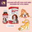 Vitamin Bồi Bổ Cho Chó Mèo Modern Pet Vita Hemo Lọ 100ml Hỗ Trợ Tạo Máu Kích Thích Thèm Ăn - KIKINO