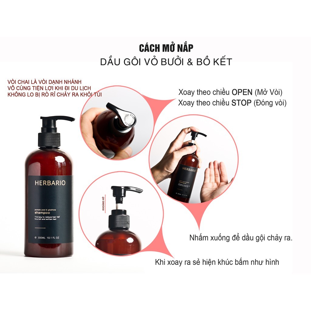 Ảnh Dầu gội vỏ bưởi và bồ kết HERBARIO 300ml giảm rụng tóc, phục hồi tóc - Mỹ phẩm thuần chay 2