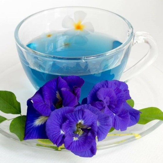 Trà hoa đậu biếc sấy khô chính hãng JINDO 1kg