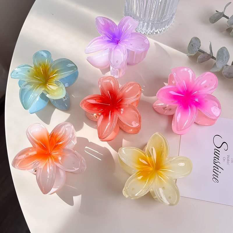 kẹp tóc hoa Hàn Quốc thương hiệu Munlens