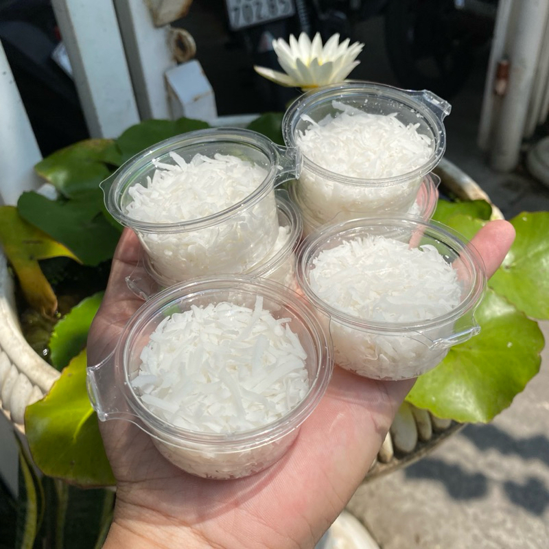 CƠM DỪA SẤY Thức ăn cho ốc rụt rè, ốc mượn hồn, cua ẩn sỉ hermitcrab ...