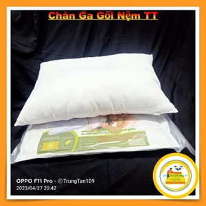 Ruột Gối Ép Hơi Khóa Kéo - Gòn Poly - Gối Nằm & Ôm