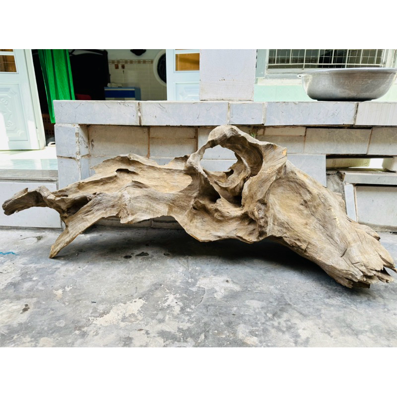 Lũa gỗ setup thuỷ sinh - decor tiểu cảnh (ship hoả tốc TPHCM) | Shopee ...