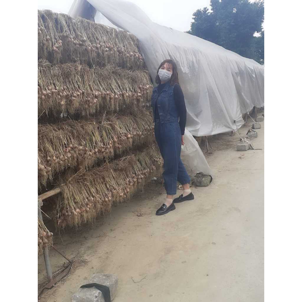 Hành Khô Kinh Môn Hải Dương 1kg Hàng Loại 1 Không Chất Bảo Quản HK1