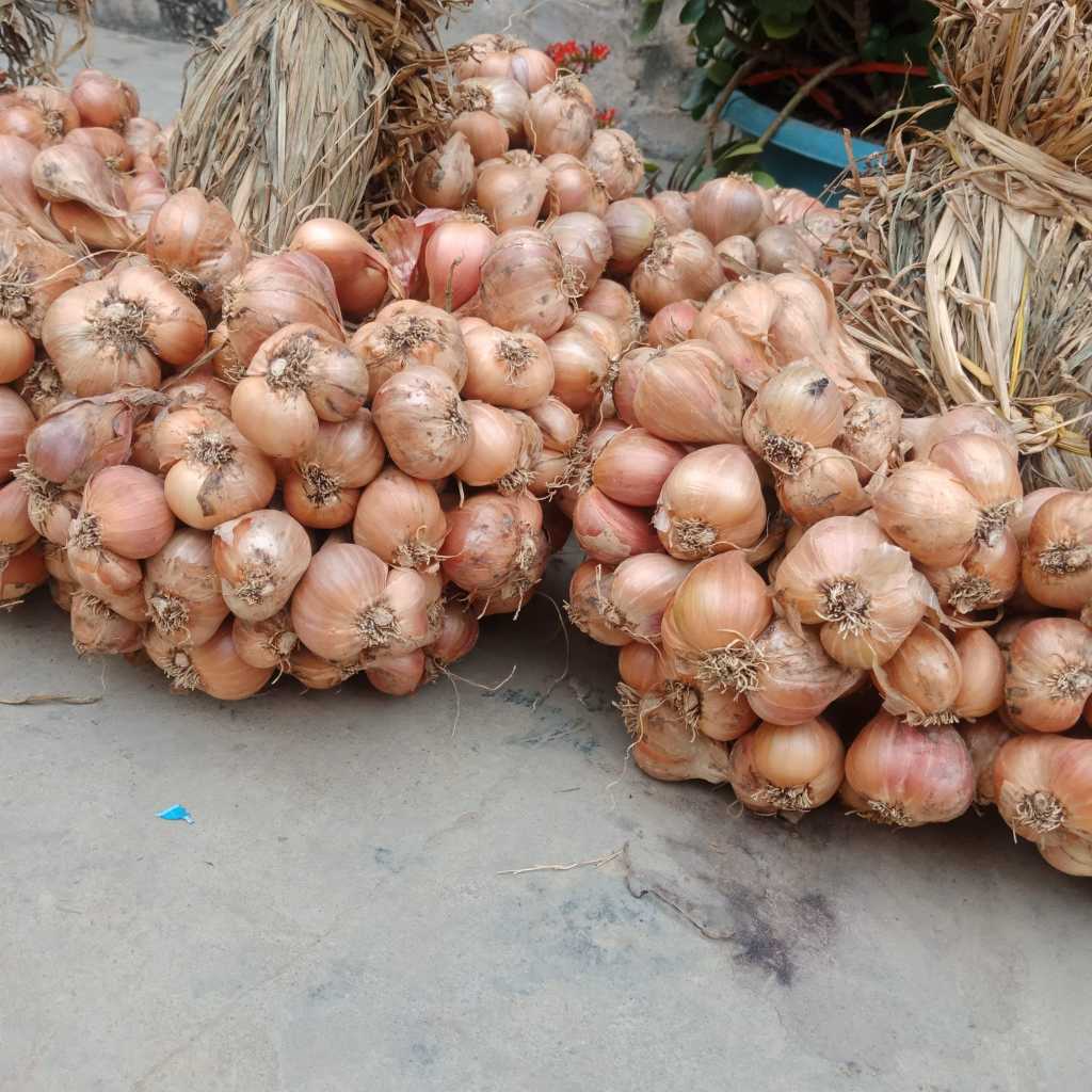 Hành Khô Kinh Môn Hải Dương 1kg Hàng Loại 1 Không Chất Bảo Quản HK1