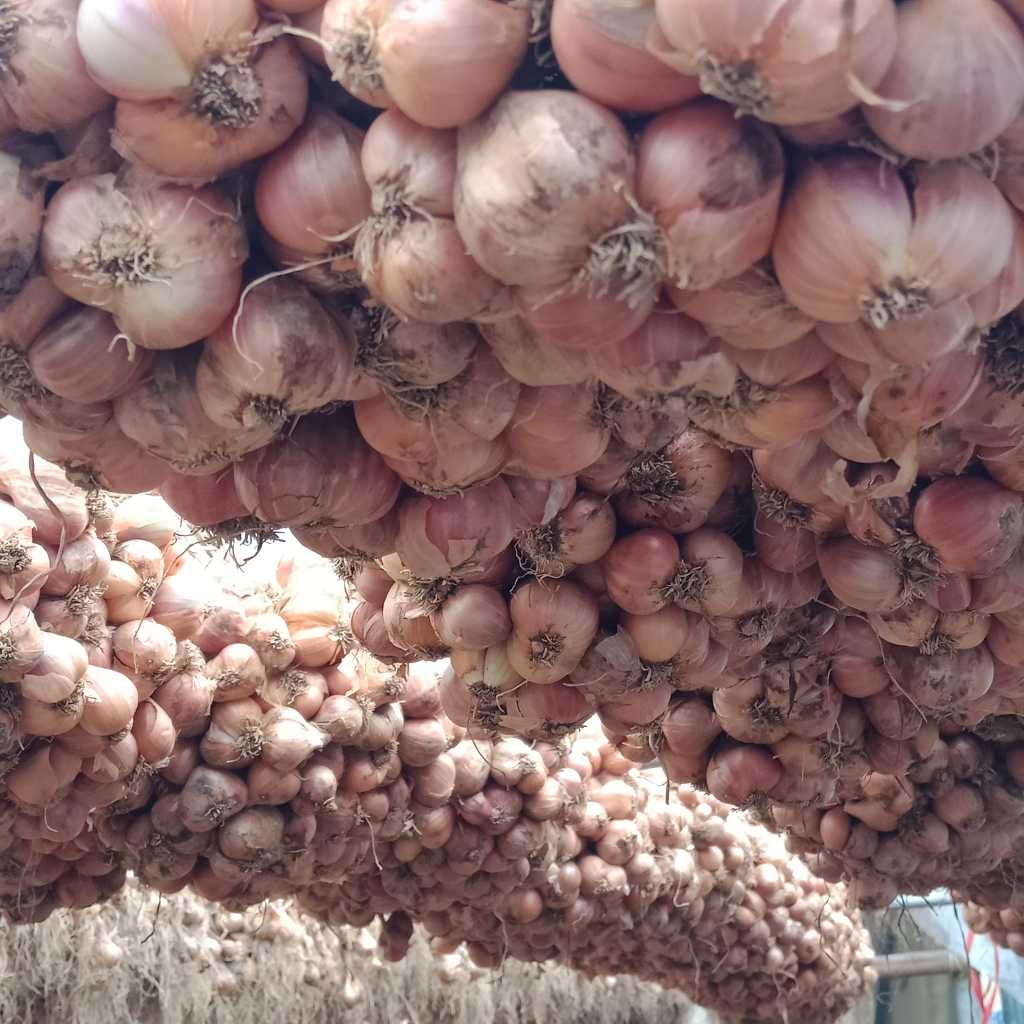 Hành Khô Kinh Môn Hải Dương 1kg Hàng Loại 1 Không Chất Bảo Quản HK1