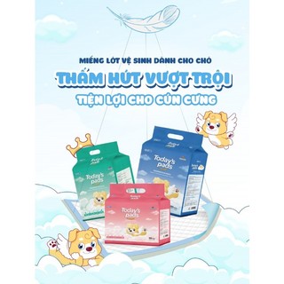 Miếng lót vệ sinh cho chó TODAY'S PADS 100 miếng 40cm x 50cm