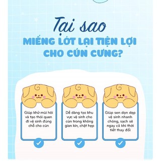 Miếng lót vệ sinh cho chó TODAY'S PADS 100 miếng 40cm x 50cm