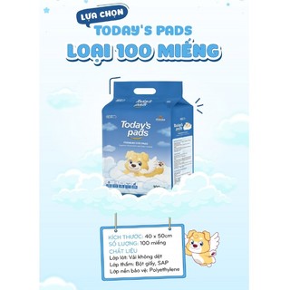 Miếng lót vệ sinh cho chó TODAY'S PADS 100 miếng 40cm x 50cm