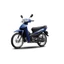 Tem rời HONDA WAVE ALPHA 110 - Nhiều màu chọn lựa. Mẫu tem đời 2023. Decal dán xe in UV cao cấp, chống nước