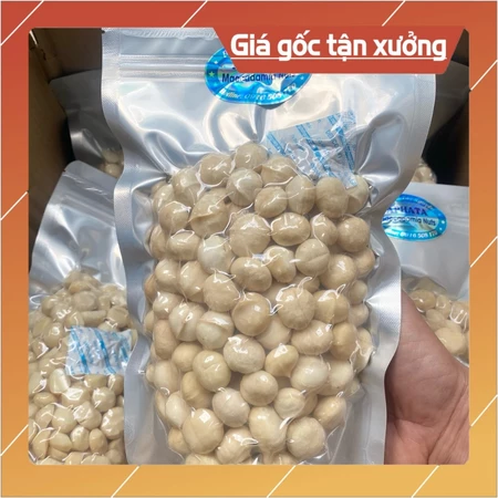 [Sỉ 2kg] Nhân Macca Lâm Đồng Nguyên Hạt Sấy Chín, Nhân Mắc ca Organic Lâm Đồng không hôi dầu