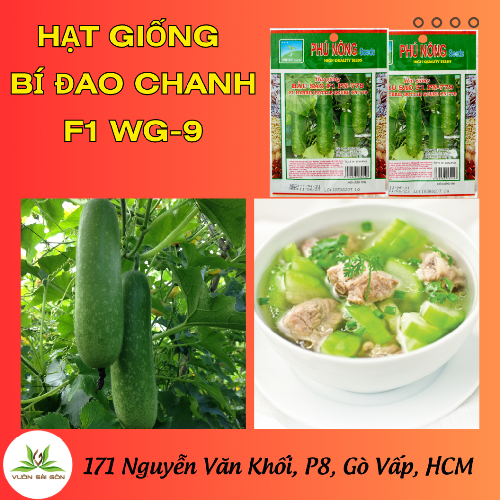 Hạt giống bí đao chanh f1 WG-9 3