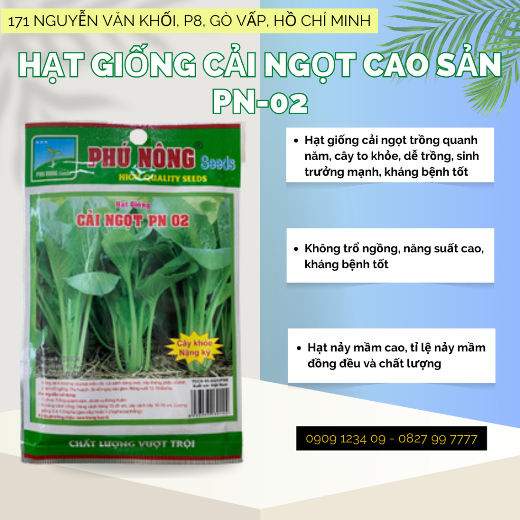 Hạt giống cải ngọt cao sản Phú Nông - Cây khỏe, nặng kí 1