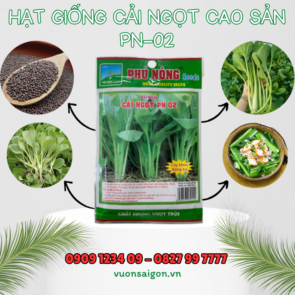 Hạt giống cải ngọt cao sản Phú Nông - Cây khỏe, nặng kí 4