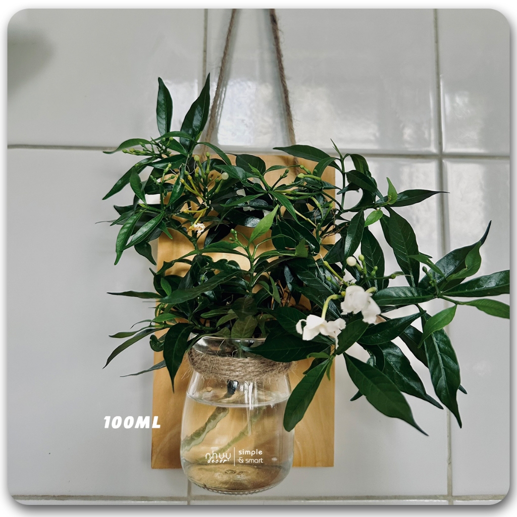Bảng gỗ treo tường kèm lọ hoa mini,Kệ gỗ kèm bình thuỷ tinh treo tường decor phòng, lọ thuỷ sinh treo ban công NHUYDECOR