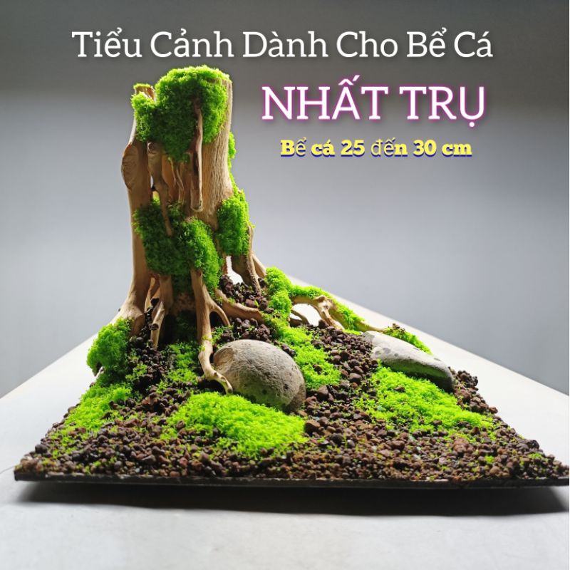 [ Mới nhất] Layout 