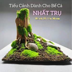 Layout " Nhất Trụ" Dành cho bể cá cảnh, bể thủy sinh, bán cạn, terra rium. Bể nhỏ, mini dưới 35 cm