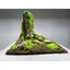 Layout " Nhất Trụ" Dành cho bể cá cảnh, bể thủy sinh, bán cạn, terra rium. Bể nhỏ, mini dưới 35 cm
