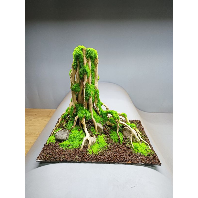 [ Mới nhất] Layout 