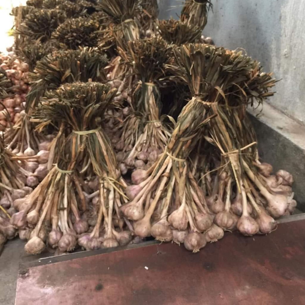 Tỏi Khô Kinh Môn Hải Dương Hàng Loại 1 Không Chất Bảo Quản TK1