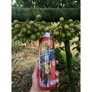 Anti maxi chai chiết từ can 20L - Thuốc quét sầu riêng anti maxi 500ml ( Chai chiết) cam kết chính hãng