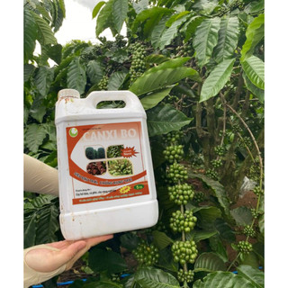 Canxibo can 5L, chuyên cho cây công nghiệp cà phê, hồ tiêu, điều,.. chắc cuống , chống rụng trái, chắc hạt