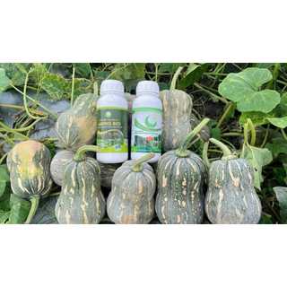 Canxibo 5L cho rau ăn trái cây ớt, bầu bí, cà chua, dưa leo, đậu cove,.. chắc cuống , chống rụng trái, dưỡng trái n